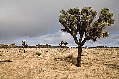 免费手游《迪士尼像素RPG》 10月7日开启运营